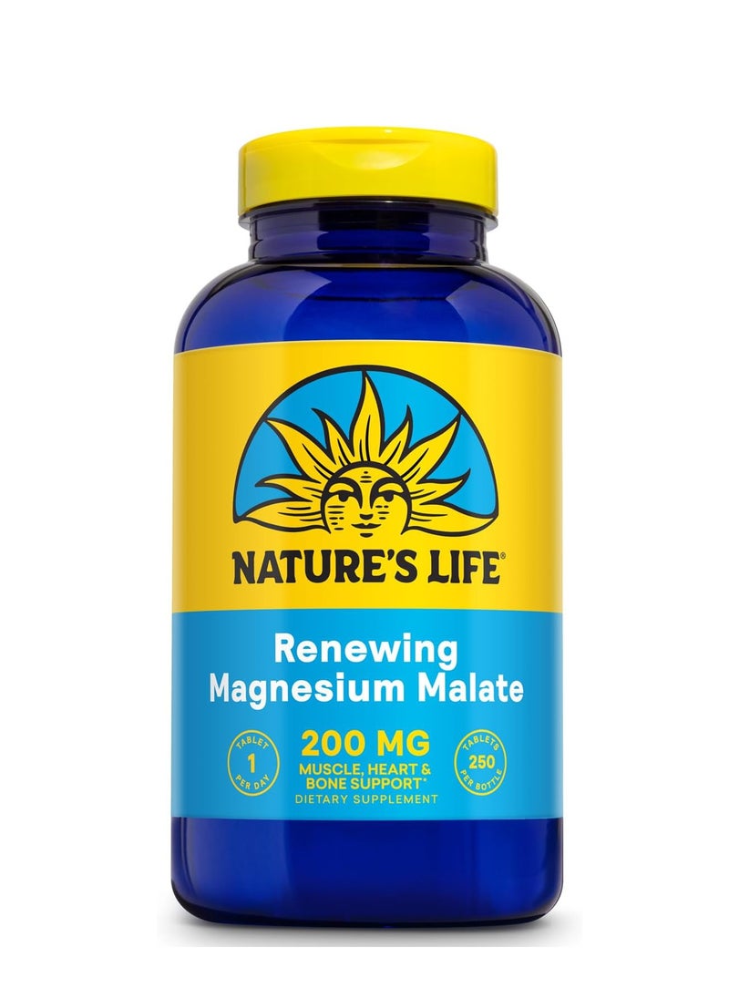 Nature's Life - Magnesium Malate 1300 Mg. 250 Tablets - Image 1