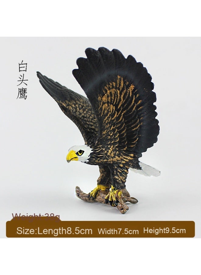NIBEMINENT Realistic Wild Animal Models - Eagle and Snowy Owl Collectible Toys