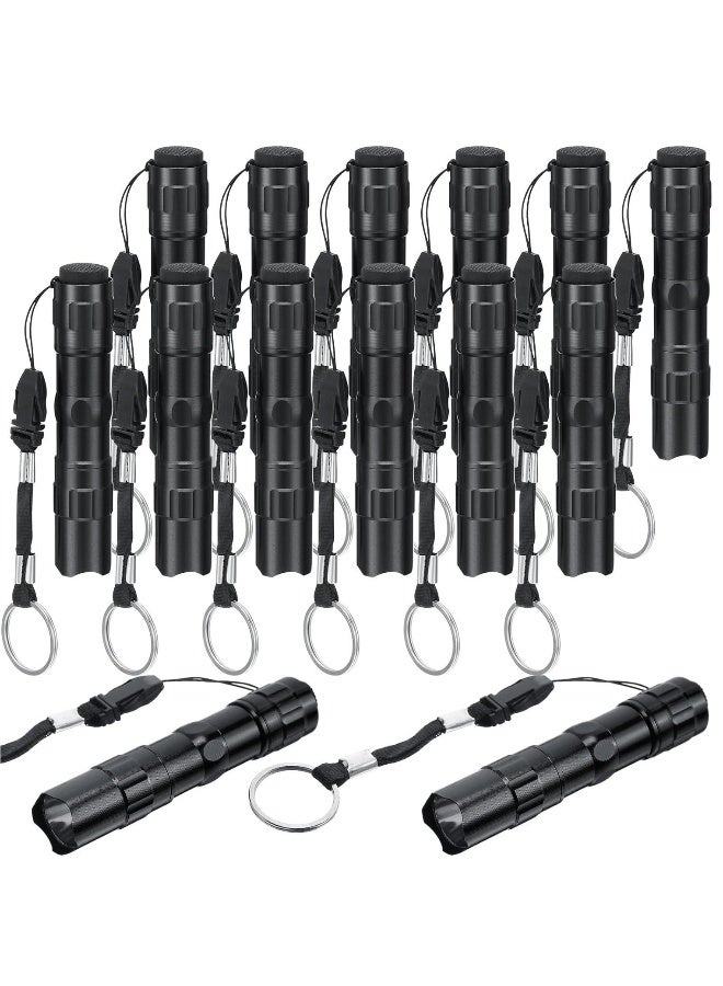 12 Pcs Mini Flashlights Bulk LED Handheld Torches with Lanyard Bright Battery Operated Aluminum Flash Lights for Camping Night Reading Party Favor Keychain Gift Black - Image 1