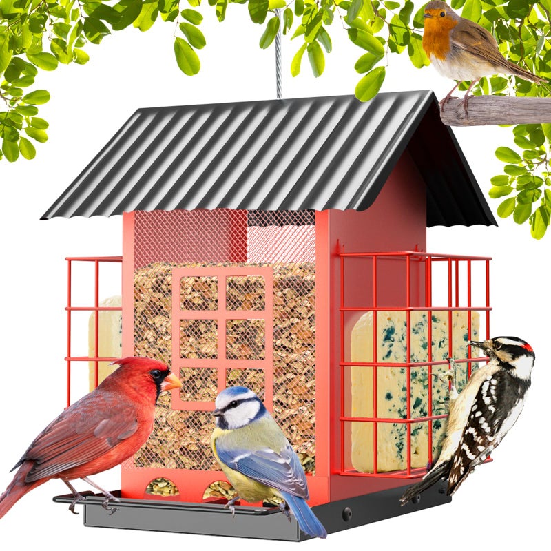 FlowaFoli Bird Feeders for Outdoors Hanging, Metal Bird Feeder with Double Suet Cage Cake, Large Capacity, Birdfeeders Sturdy & Weatherproof, Easy to Clean & Refill, Great for Attracting Wild Birds - Image 1