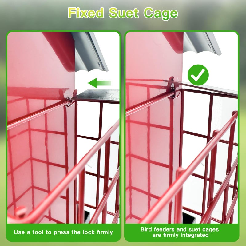 FlowaFoli Bird Feeders for Outdoors Hanging, Metal Bird Feeder with Double Suet Cage Cake, Large Capacity, Birdfeeders Sturdy & Weatherproof, Easy to Clean & Refill, Great for Attracting Wild Birds - Image 5
