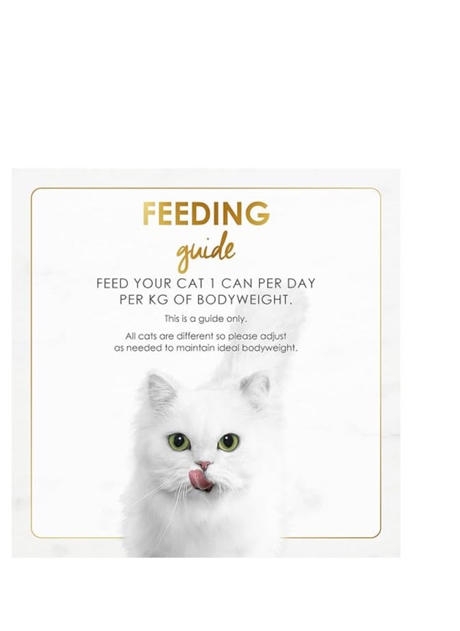 Purina Fancy Feast - Purina Fancy Feast Gravy Lover Beef Wet Cat Food 85g (Pack of 24) - Image 1