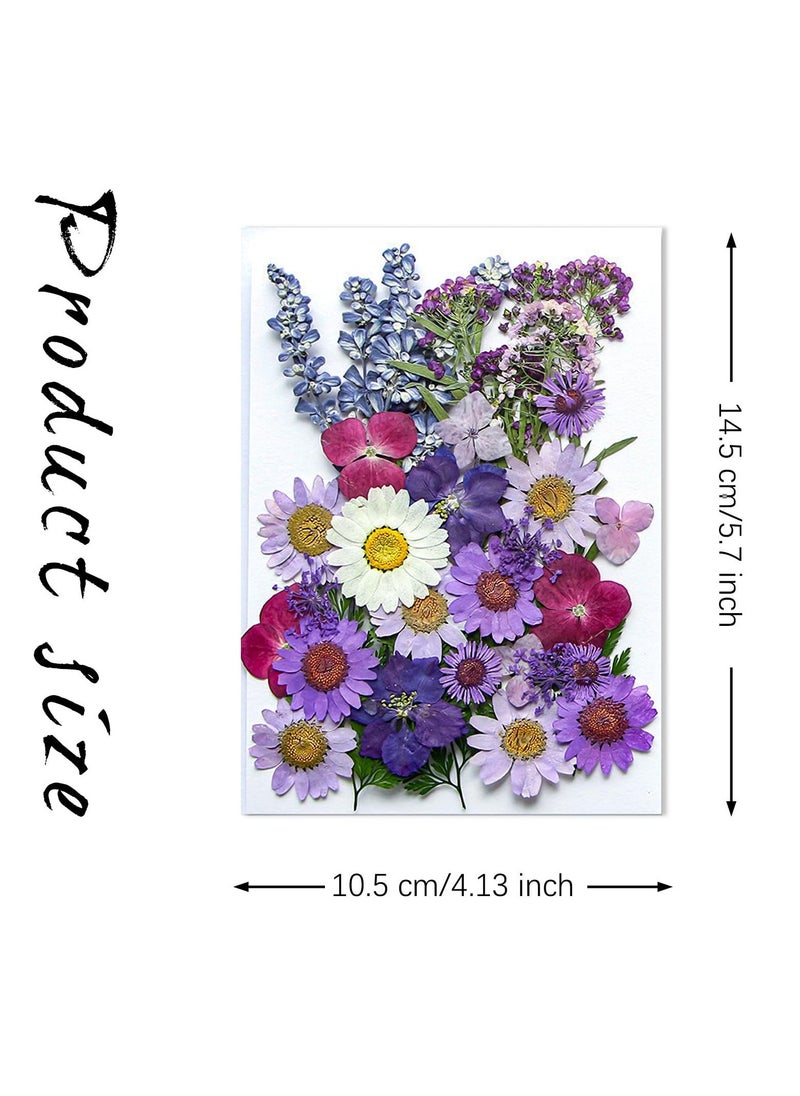 Large Dried Pressed erfly Sticker Flower for Resin, Big Real Nature Pressing Floral Leaves, Real Mixed Color Pressed Flowers for DIY Craft, Mold, Jewelry Making, Candle Scrapbooking Supplies - Image 2