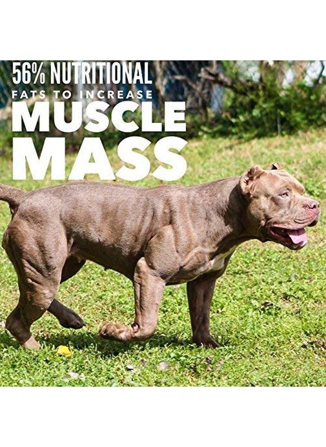 MVP K9 Supplements - Mvp K9 Formula Mass Weight Gainer For Dogs  Helps Promote Healthy Weight Gain, Size And Muscle In Dogs  Great For Skinny, Underweight, Picky Eaters. All Breed Formula, Made In Usa (45 Servings) - Image 1