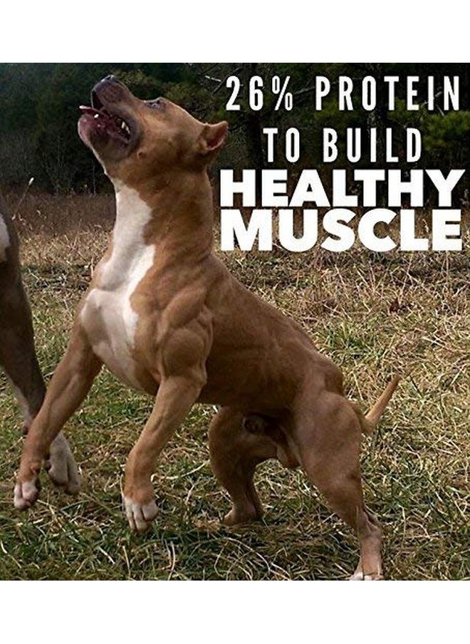 MVP K9 Supplements - Mvp K9 Formula Mass Weight Gainer For Dogs  Helps Promote Healthy Weight Gain, Size And Muscle In Dogs  Great For Skinny, Underweight, Picky Eaters. All Breed Formula, Made In Usa (45 Servings) - Image 1