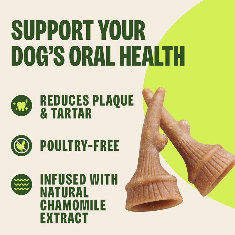 WHIMZEES Wellness Occupy Dog Dental Treats, Natural Chews, Small Size, (24 Count) - Image 4