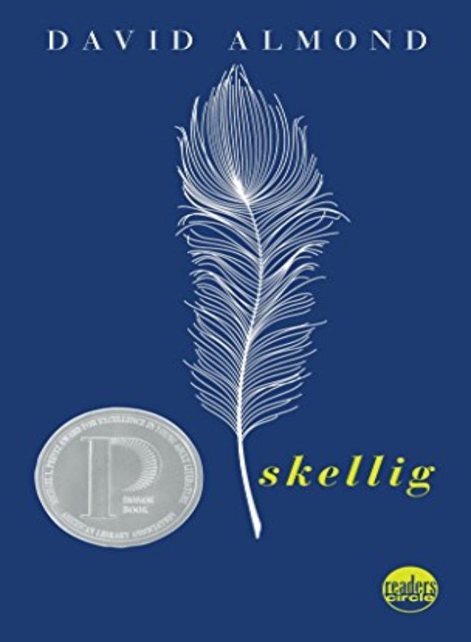 Skellig by David Almond Paperback 