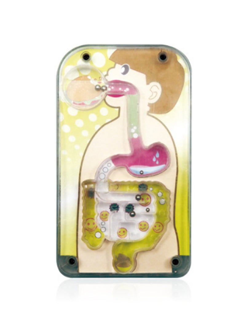 Maze Model Of The Body. Human Body Assembly For Children. Torso Model With Detachable Parts. Medical Education Science Set For Preschool And School - Image 1