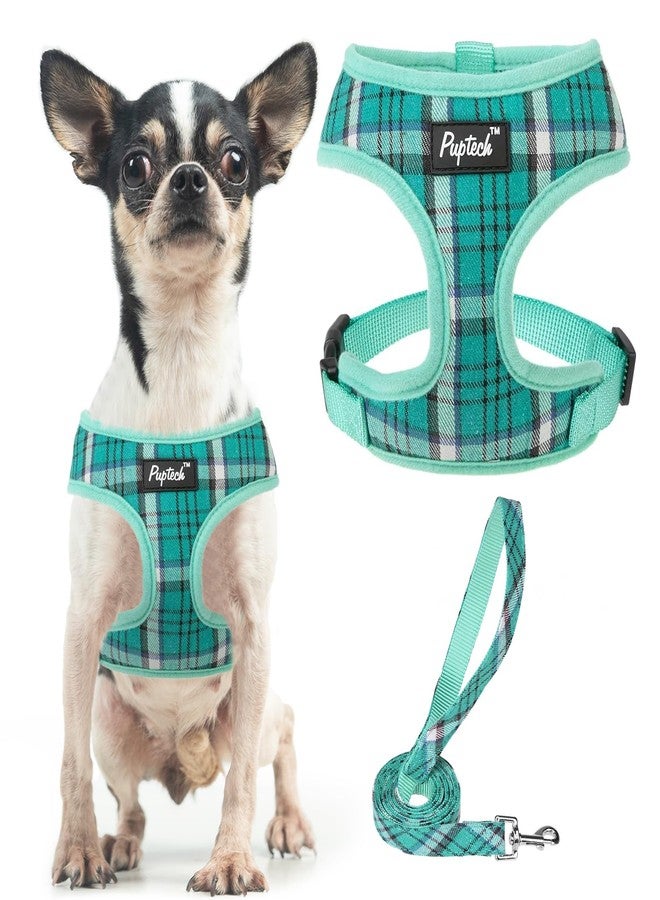 PUPTECK Soft Mesh Dog Harness and Leash Set Pet Puppy Cat Comfort Padded Vest No Pull Harnesses, Green, XS - Image 1