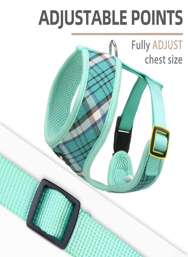 PUPTECK Soft Mesh Dog Harness and Leash Set Pet Puppy Cat Comfort Padded Vest No Pull Harnesses, Green, XS - Image 3