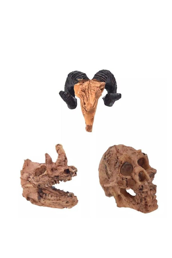 ديكور جمجمة حيوان حوض السمك - Image 1