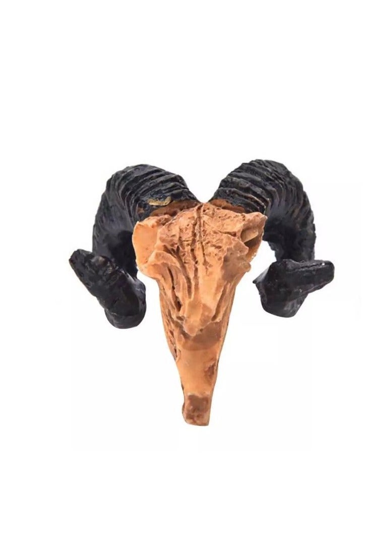 ديكور جمجمة حيوان حوض السمك - Image 4