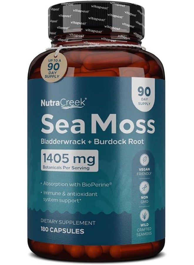 NutraCreek Sea Moss | Irish Sea Moss Capsules with Bladderwrack, Burdock Root & BioPerine for Absorption. Prebiotic & Immune Support | 90 Days Supply of Bladderwrack and Sea Moss Pills - 180 Capsules - Image 1
