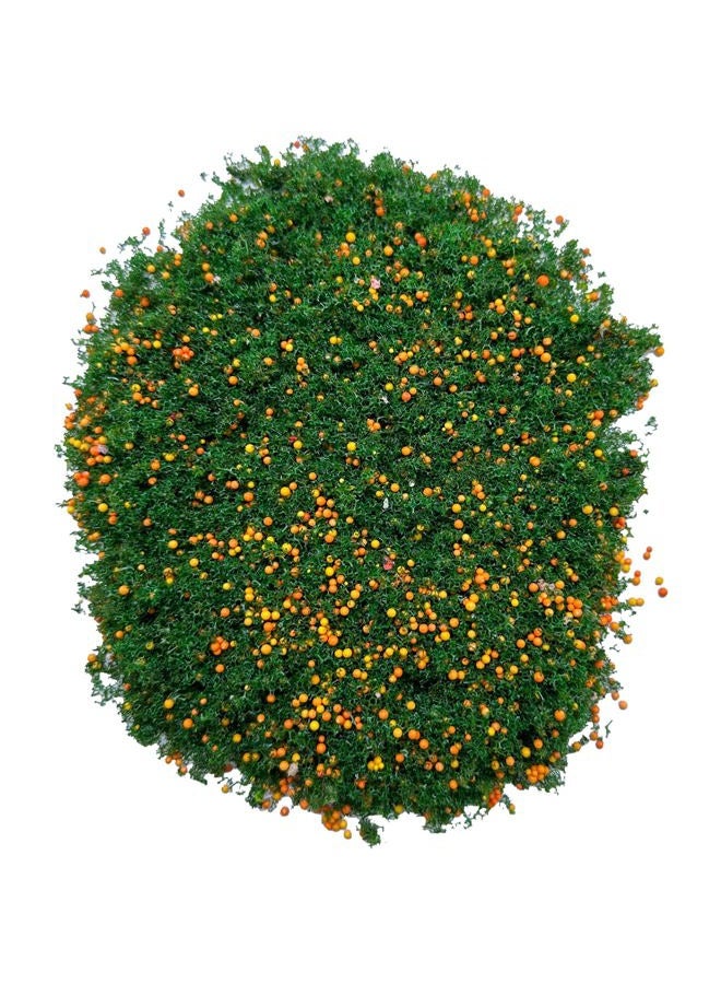 Cayway 4 Color Colorful Tree Powder Model Tree Tufted for DIY Miniature Lowland Model Shrub Bushy Tuft Architecture Building Model Railway Fairy Garden Diorama Scenery - Image 3