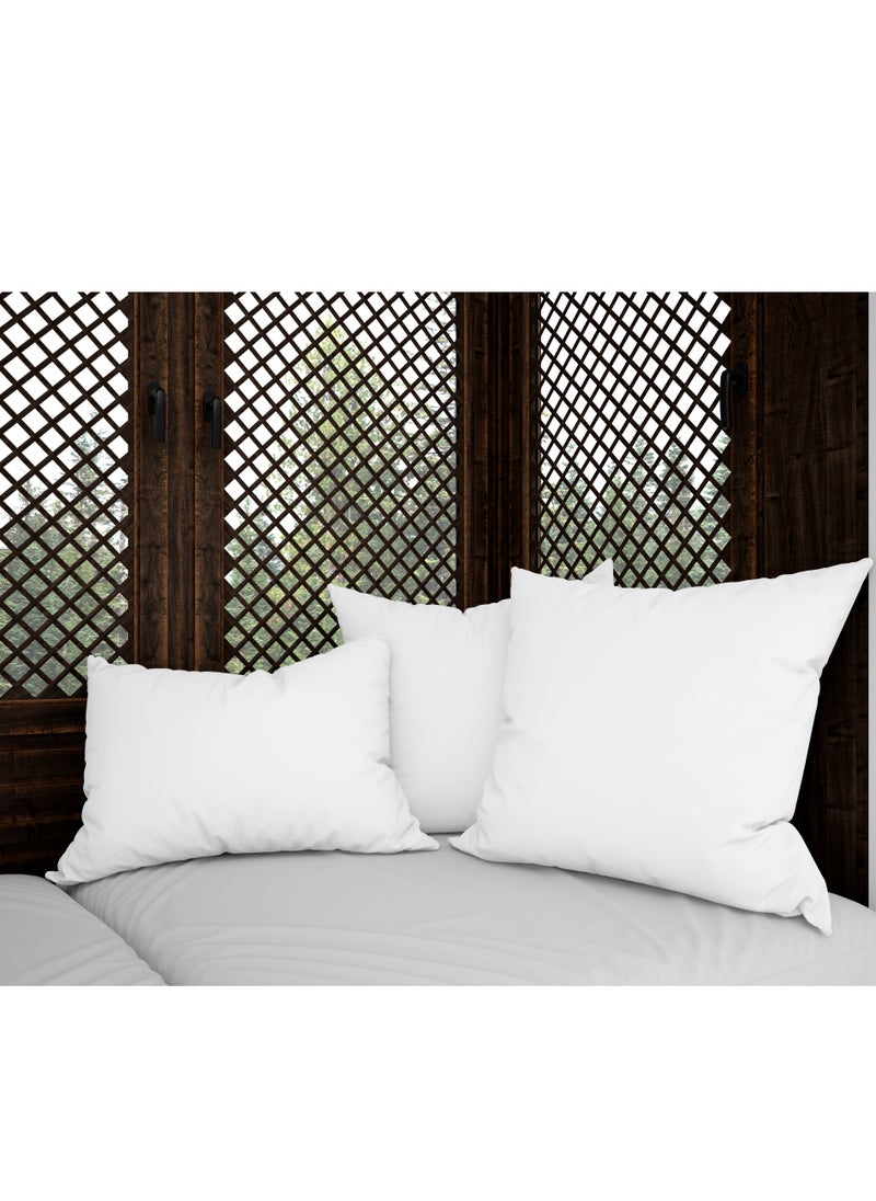 PARRY LIFE Premium Pillow For Back, Neck, And Shoulder Support Soft Fluffy Stripe Hotel Pillows Microfiber White 75x50cm  - Image 1
