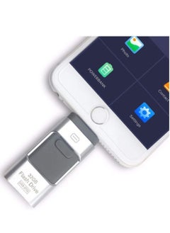 ELTRAZONE ELTRAZONE 3-In-1 OTG USB 3.0 Memory Stick Pen Drives for iPhone/iPad/Android /PC (256GB, Silver) 