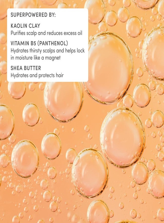 Evereden After Swim & Sports Kids Shampoo Mini: With Cleansing Clay | Detoxifies Hair & Scalp from Chlorine, Dirt, and Sweat | Clean & Vegan Kid Shampoo for Daily Use and Any Hair Type | 1.0 fl. oz. - Image 5