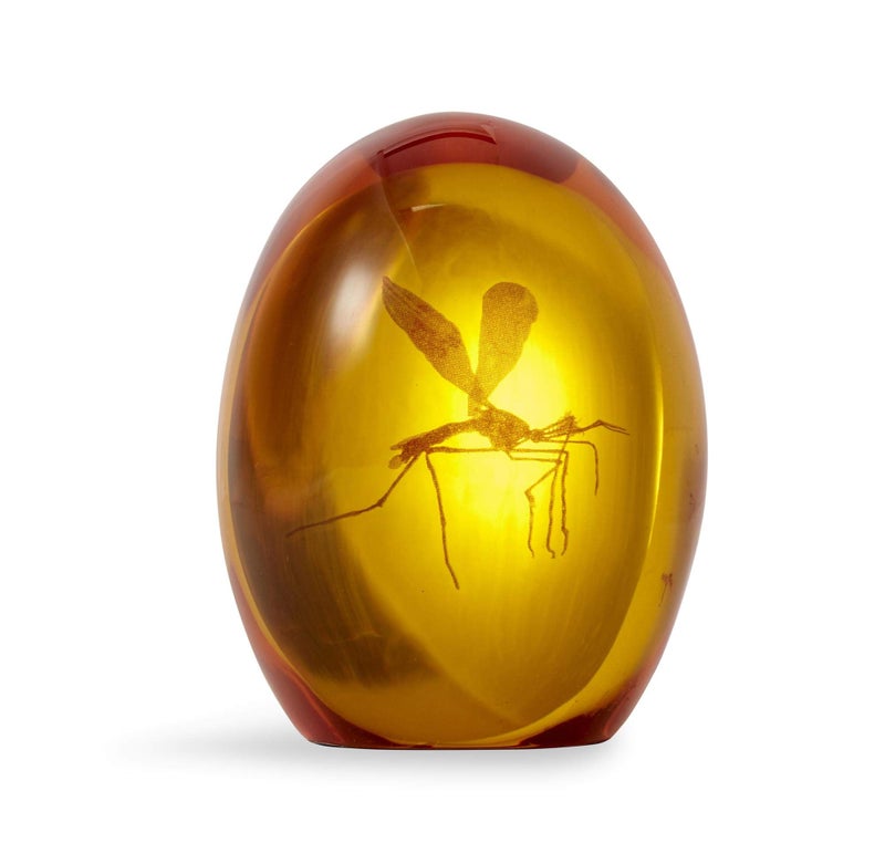 Toynk نسخة طبق الأصل من بعوضة العصر الجوراسي في الراتنج الكهرماني | وزن ورقي رسمي لجوراسيك بارك | يقيس 3 بوصات ارتفاعاً - Image 1