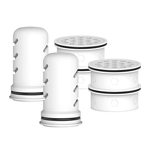 GLACIER FRESH Water Pitcher Filter Replacement for LS Home Dispenser and Pitcher Systems Reduces Chlorine Taste and Odor 2 Membrane Micro and 4 Activated Carbon Ion Exchange Filter - Image 1