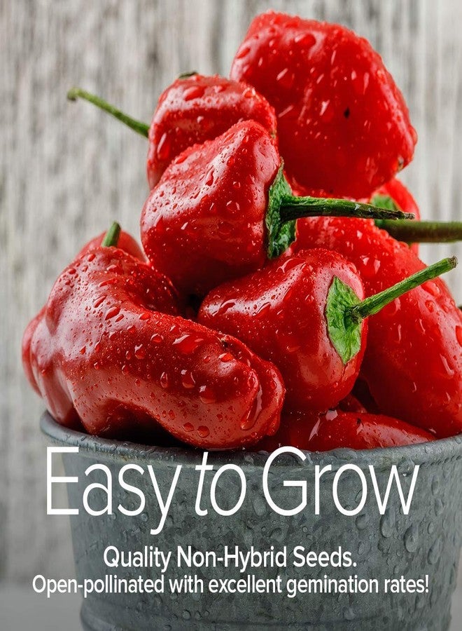 Gardeners Basics أساسيات البستانيين، بذور الفلفل للزراعة 8 أنواع عبوة، هالبينو، هابانيرو، فلفل حلو، كايين، شمع حار هنغاري، أنهايم، سيرانو، بذور كوبا نيل للإرث للزراعة في الحديقة غير معدلة وراثيًا - Image 4