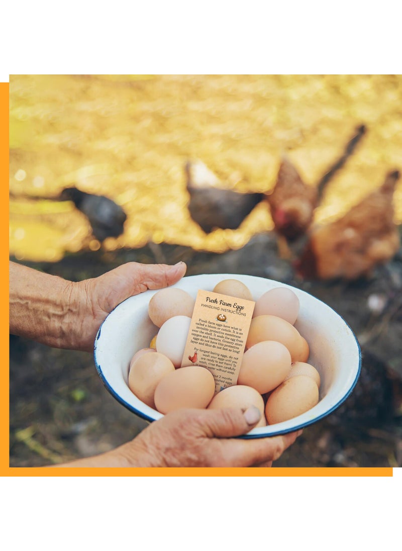Gethelud 200 PCS Egg Handling Instruction Cards, Double-sided Printing Egg Stamps with Washed/Unwashed Fresh Egg Care Accessories Card Labels for Farm Fresh Eggs (3.5” x 2”)  - Image 4