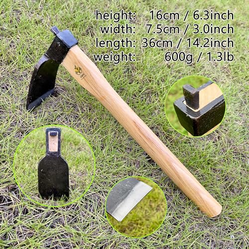 ALANX 14 Inch Heavy Duty Curved Hoe, Without Welding, Gardening Tool, Oak Handle, for Digging, Weeding, and Planting - Image 2