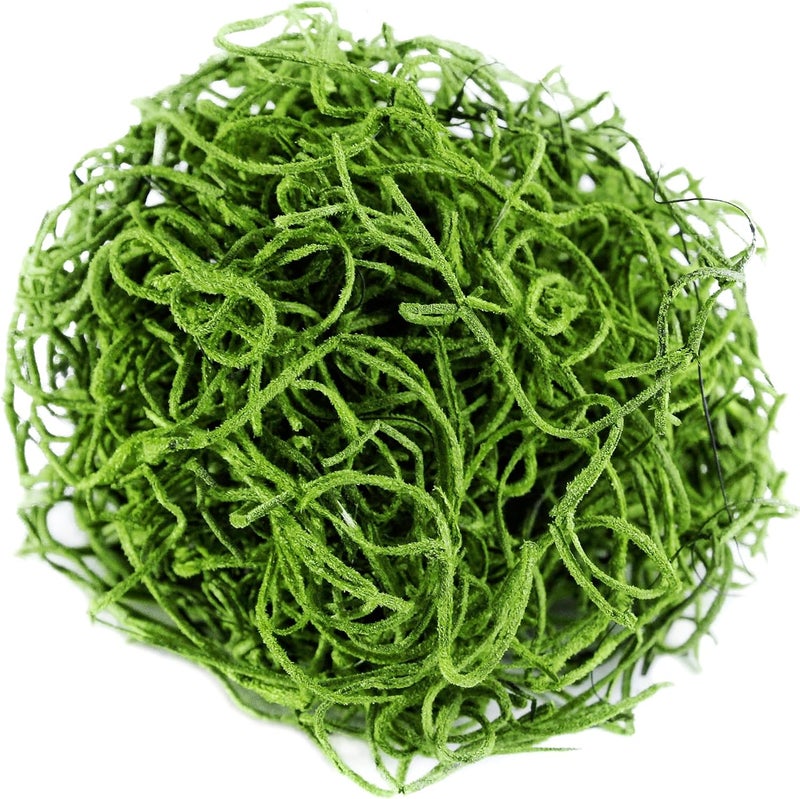 Super Moss (26907) Spanish Preserved, Grass, 4oz - Image 5