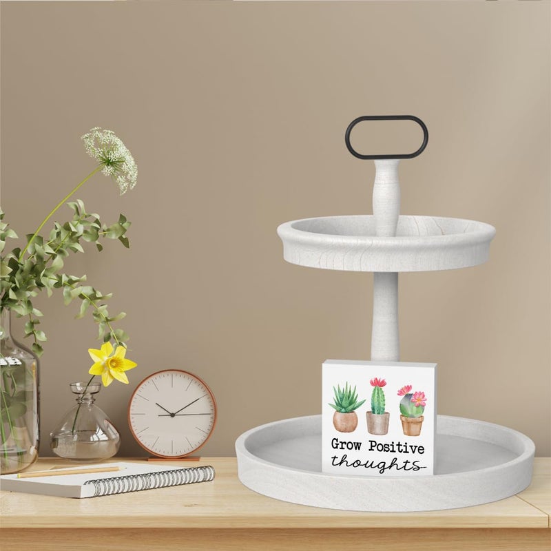 WRSUNT Summer Cactus Decorations For Home Office  Cactus Decor  Succulent Decor  Summer Decor  Succulent Cactus Themed Classroom Decor  Cactus Bathroom Decor  Grow Positive Thoughts Sign 5 X 5 Inches - Image 5