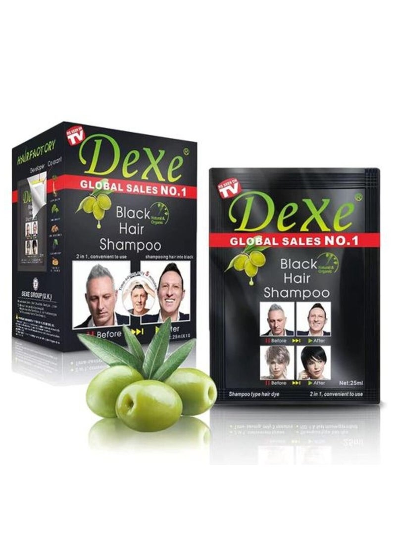 Dexe - Black Dyed Shampoo Herbal Black Hair Dye with Ginseng Ginger Ganoderma Lucidum White Hair Repair - Image 1