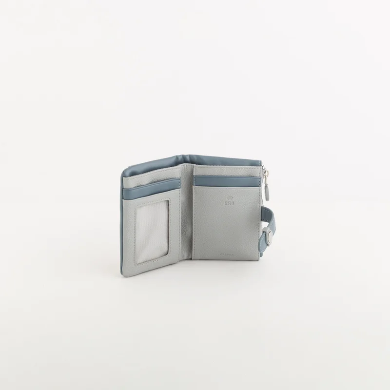 CARPISA Women's Leather Wallet Azalea Wallet V1 Powder Blue