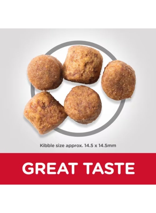 هيلز ساينس بلان غذاء بطعم الدجاج للكلاب البالغة كبيرة الحجم لصحة المفاصل وسهولة الحركة 14kg - Image 2