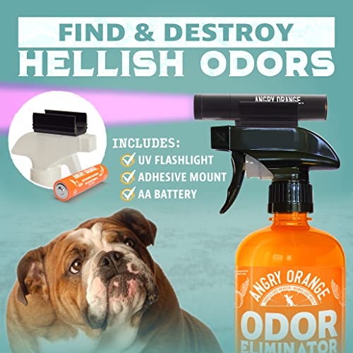 ANGRY ORANGE UV Flashlight - LED Black Light Detector for Dry Dog Urine - Flashlights Make Stains Glow in The Dark with Ultraviolet Blacklight - Image 2