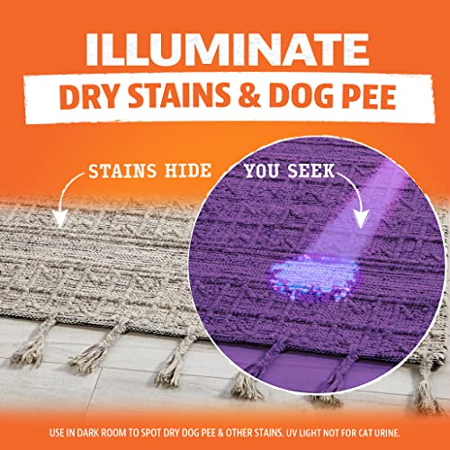 ANGRY ORANGE UV Flashlight - LED Black Light Detector for Dry Dog Urine - Flashlights Make Stains Glow in The Dark with Ultraviolet Blacklight - Image 3