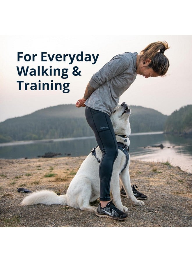 راف وير Ruffwear، حزام كلاب Front Range، حزام يومي مبطن ناعم عاكس مع مشابك مقود مزدوجة، قابل للتعديل وخفيف الوزن مناسب للتدريب أو المشي لجميع الكلاب، جبال Moonlight، متوسط - Image 3