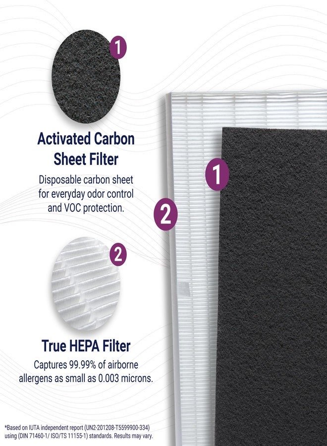 Winix Genuine Replacement Filter S (Model1712-0096-00) for Winix C545 Air Purifier - Image 2