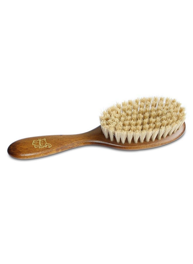 Mars Coat King Bristle Cat Hair Brush Deshedding Tool - Pet Grooming Supplies for Furry, Shaggy, Loose Hair in all Breeds, Wooden Handle for Thick Coats - ¾" Bristles, 2" Wide Head - Image 1