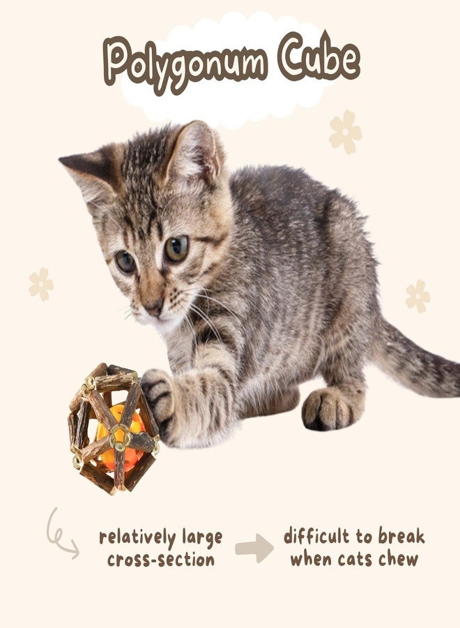 Yeahgoshopping Natural Silvervine Cat Chew Toys, 10 Premium Matatabi Sticks and 2 Catnip Balls, Interactive Pet Dental Treats, Safe Wood Chewing Toys for Cats - Image 5