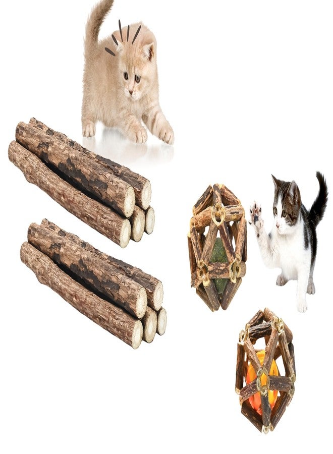 Yeahgoshopping Natural Silvervine Cat Chew Toys, 10 Premium Matatabi Sticks and 2 Catnip Balls, Interactive Pet Dental Treats, Safe Wood Chewing Toys for Cats - Image 1