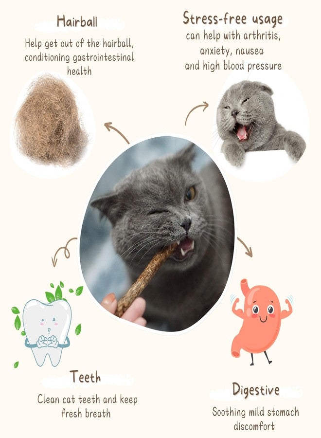 Yeahgoshopping Natural Silvervine Cat Chew Toys, 10 Premium Matatabi Sticks and 2 Catnip Balls, Interactive Pet Dental Treats, Safe Wood Chewing Toys for Cats - Image 4