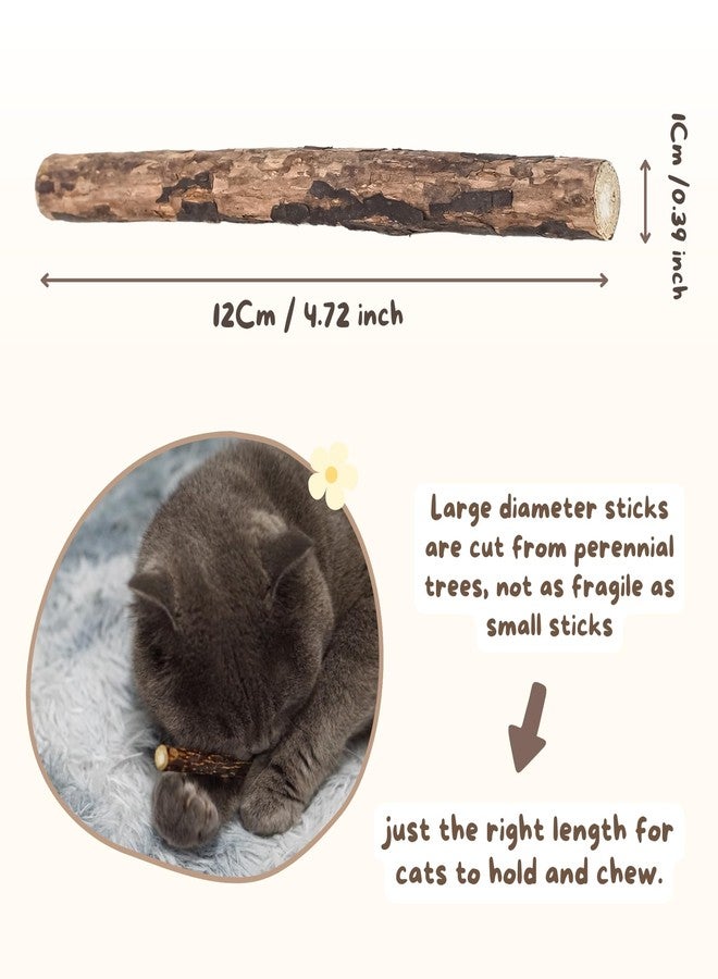 Yeahgoshopping Natural Silvervine Cat Chew Toys, 10 Premium Matatabi Sticks and 2 Catnip Balls, Interactive Pet Dental Treats, Safe Wood Chewing Toys for Cats - Image 2