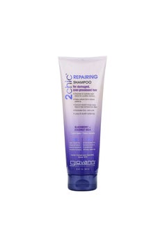 Giovanni 2 Chic Damage Repair Shampoo for Damaged and Over-processed Hair with Blackberry and Coconut Milk, 8.5 fl oz 250 ml  - Image 1