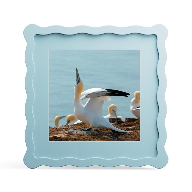 ثكرلوف إطار صور THKRLOF مقاس 8x8 بوصة مع حافة داخلية لإطار صور 6x6 بوصة، إطار خشبي ذو حواف مموجة وزجاج حقيقي، مناسب لوضعه على الطاولة أو تعليقه على الحائط، لون أزرق، عبوة واحدة - Image 1