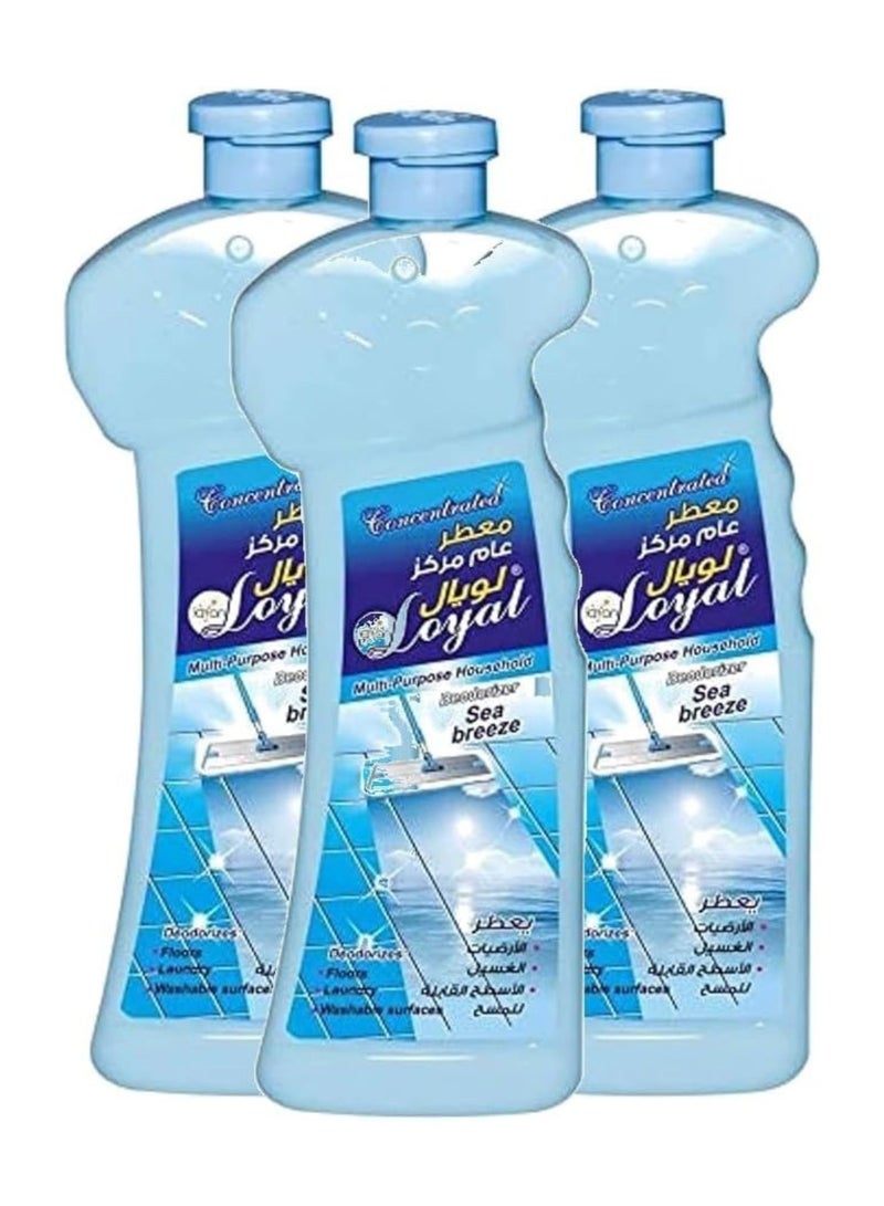 LOYAL Concentrated Household Deodorizer | Sea Breeze Pack of 3-700 Ml - Image 1