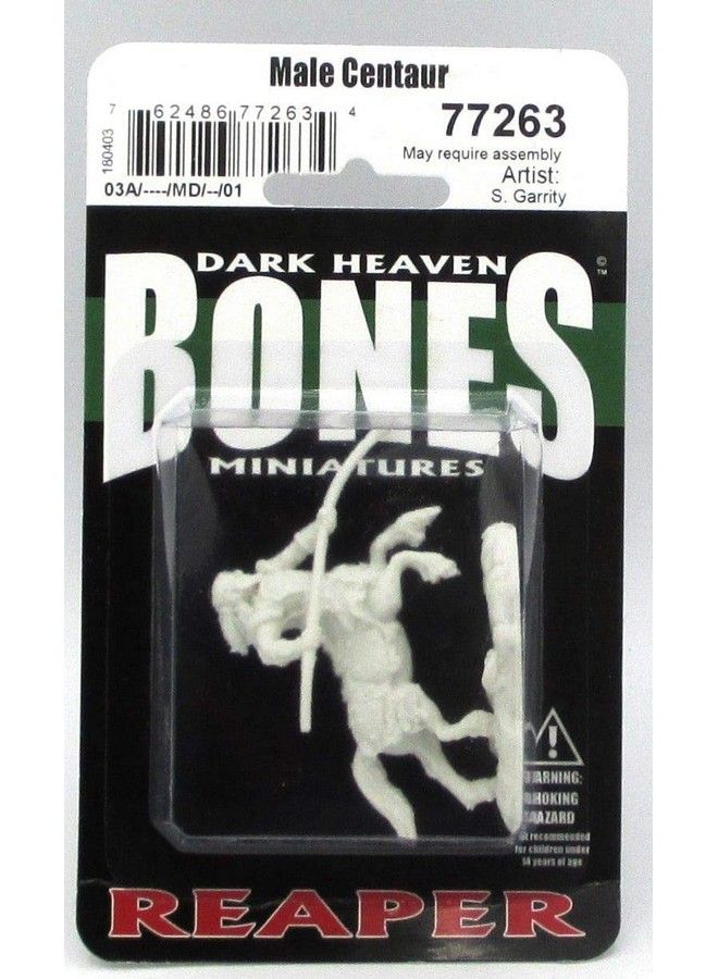 Reaper Bones Male Centaur With Spear - Image 3