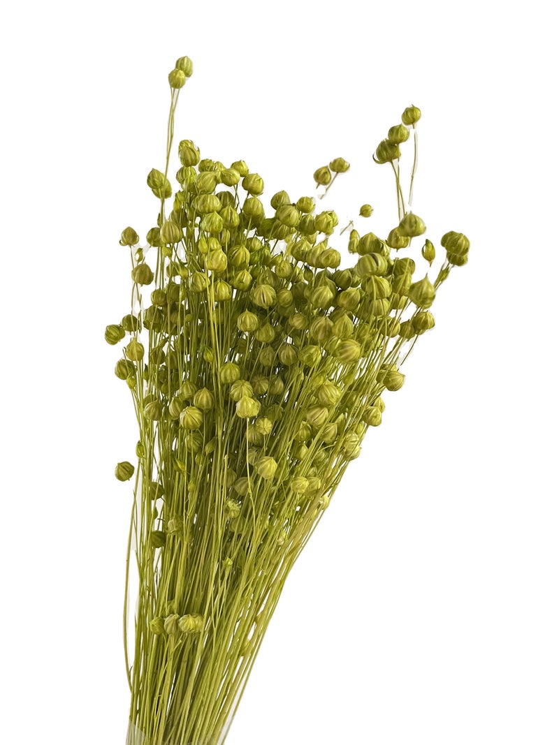 Bluejw Real Dried Flower Arrangements - Natural Dried Flax & Mixed Dried Plants for Home Decor, Events, Weddings, Bouquets - Image 3