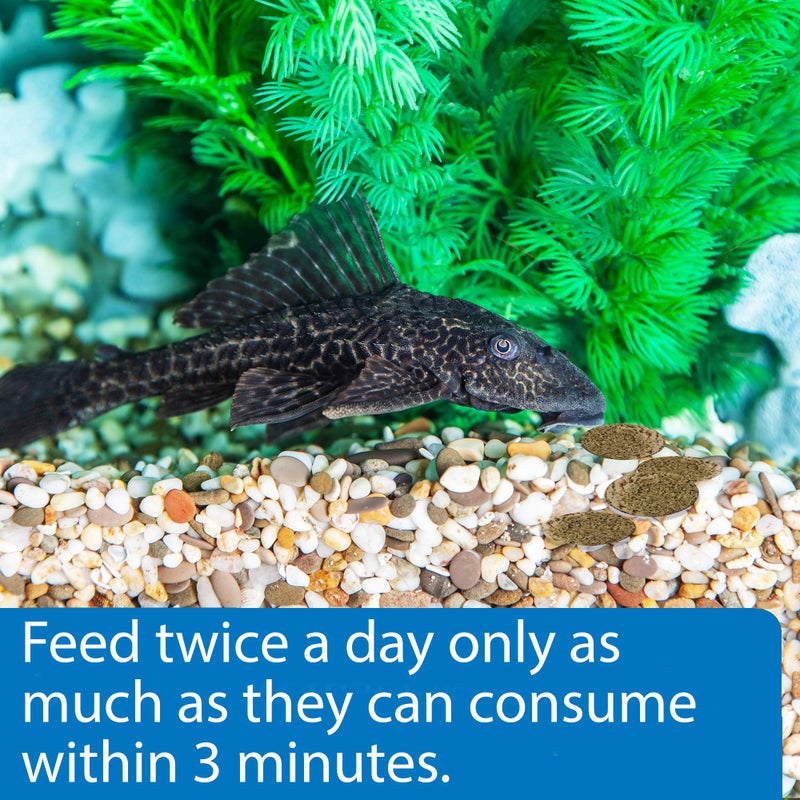 API ALGAE EATER WAFERS Algae Wafer Fish Food 1.3-Ounce Container - Image 3