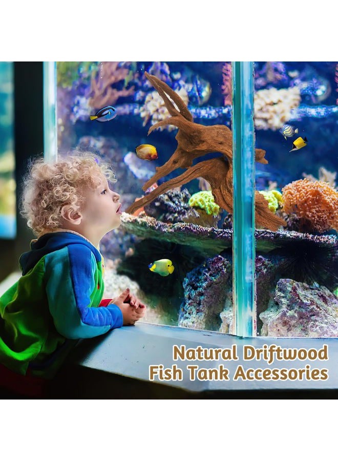 Kathson Natural Aquarium Driftwood Decoration Branches Reptiles Terrarium Ornament Wood Fish Tank Habitat Decor Assorted Sizes Wood 4 PCS (6"-10") - Image 5