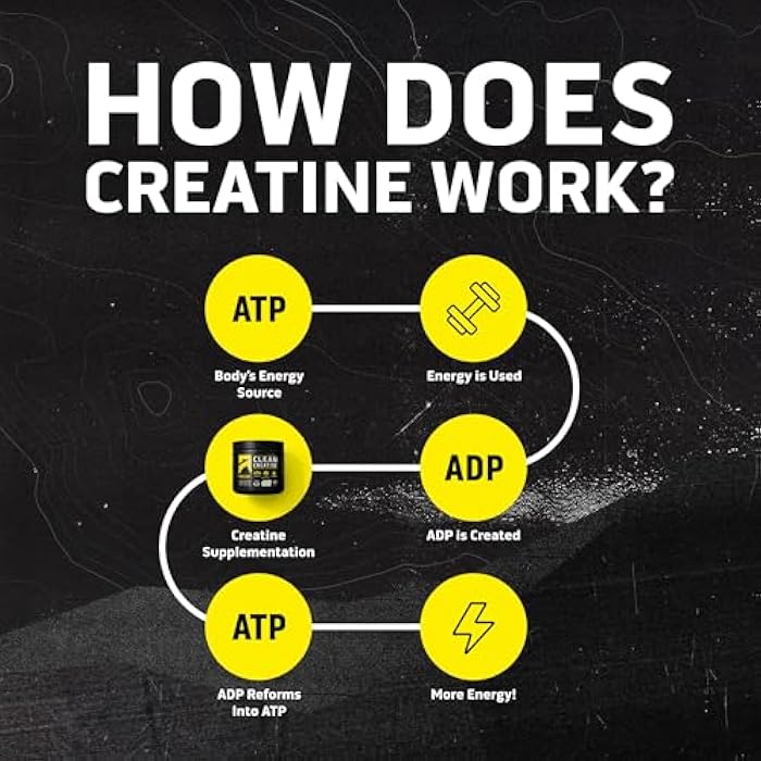 Ascent Clean Creatine Monohydrate Powder - 5G Per Serving, Creapure Supplement - Unflavored, 45 Servings - Image 4