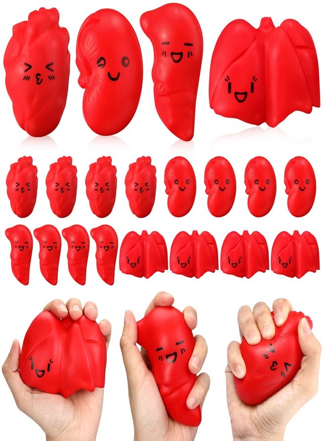 Arrowbash 12 Pcs Stress Balls Bulk Nurse Thank You Relief Stress Ball Nursing Assistants Nurse Appreciation Week Gifts Adult Medical Work Team Graduation Gifts (Adorable Style) - Image 1