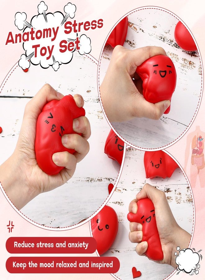 Arrowbash 12 Pcs Stress Balls Bulk Nurse Thank You Relief Stress Ball Nursing Assistants Nurse Appreciation Week Gifts Adult Medical Work Team Graduation Gifts (Adorable Style) - Image 3